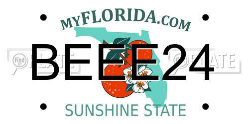BEEE24 Florida License Plate