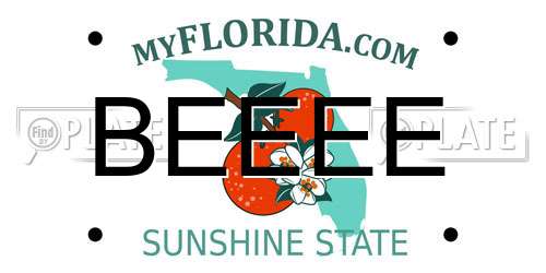 BEEEE Florida License Plate