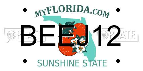 BEEJ12 Florida License Plate