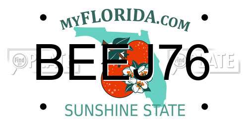 BEEJ76 Florida License Plate