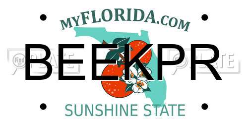 BEEKPR Florida License Plate