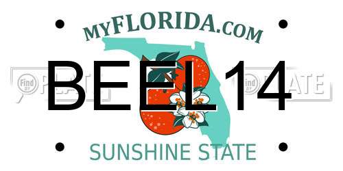 BEEL14 Florida License Plate