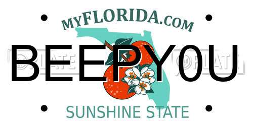BEEPY0U Florida License Plate