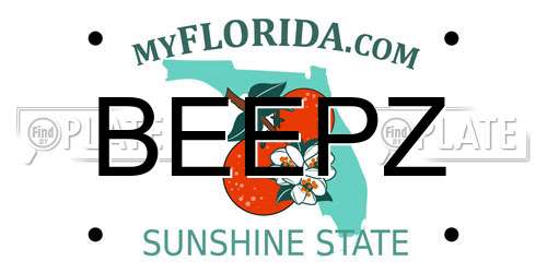 BEEPZ Florida License Plate