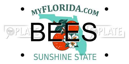 BEES Florida License Plate
