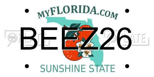 BEEZ26 Florida License Plate