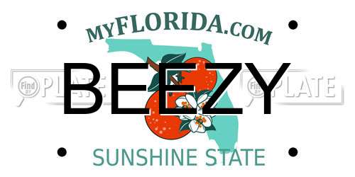 BEEZY Florida License Plate