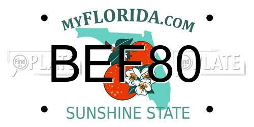 BEF80 Florida License Plate