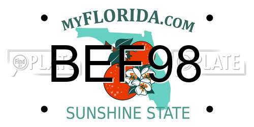 BEF98 Florida License Plate