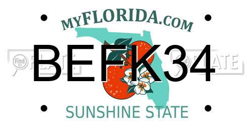 BEFK34 Florida License Plate