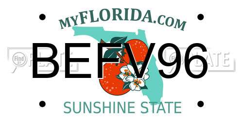 BEFV96 Florida License Plate