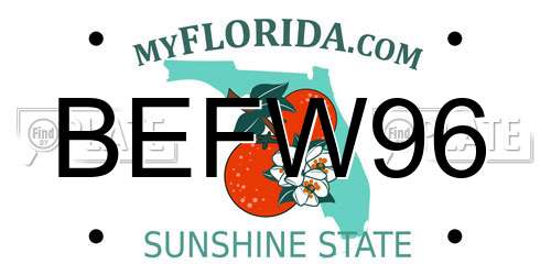 BEFW96 Florida License Plate