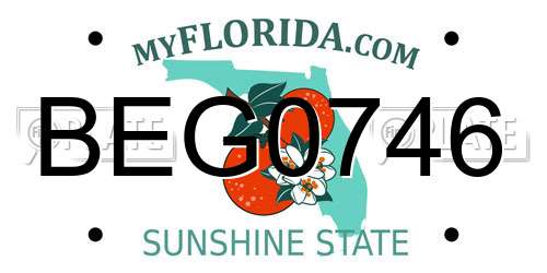 BEG0746 Florida License Plate