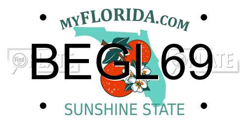 BEGL69 Florida License Plate