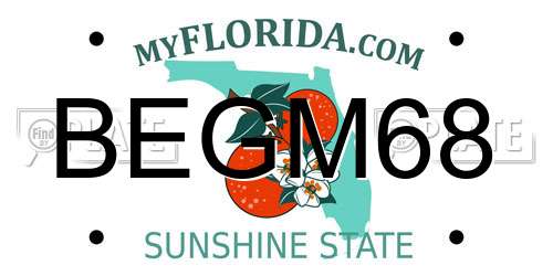 BEGM68 Florida License Plate
