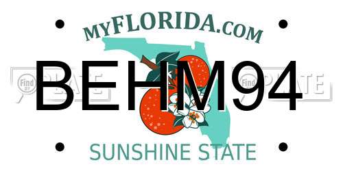 BEHM94 Florida License Plate