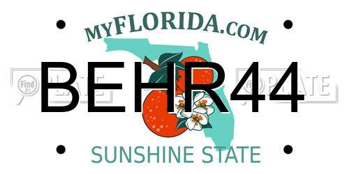 BEHR44 Florida License Plate