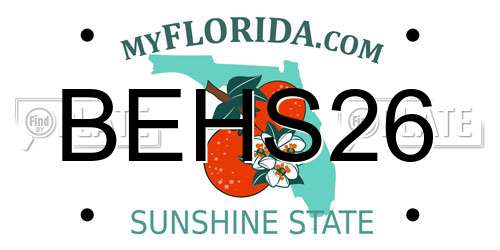 BEHS26 Florida License Plate