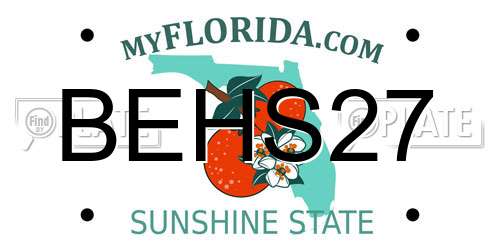 BEHS27 Florida License Plate