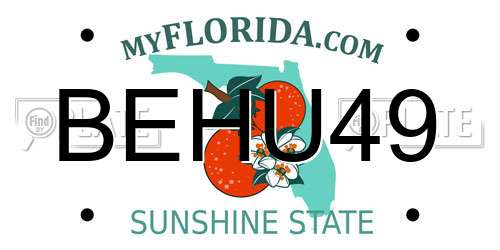 BEHU49 Florida License Plate