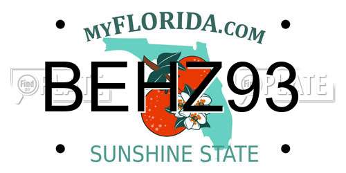 BEHZ93 Florida License Plate