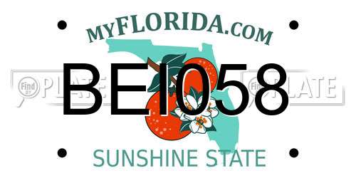 BEI058 Florida License Plate