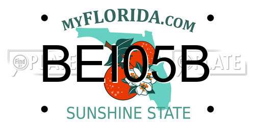 BEI05B Florida License Plate