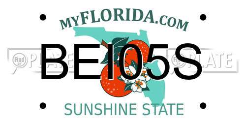 BEI05S Florida License Plate
