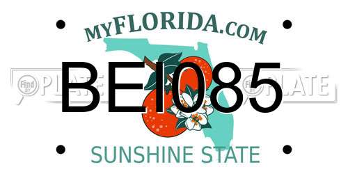 BEI085 Florida License Plate