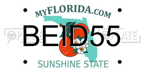 BEID55 Florida License Plate