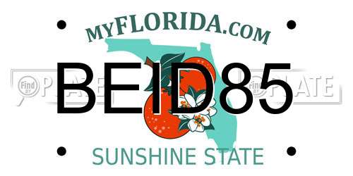 BEID85 Florida License Plate