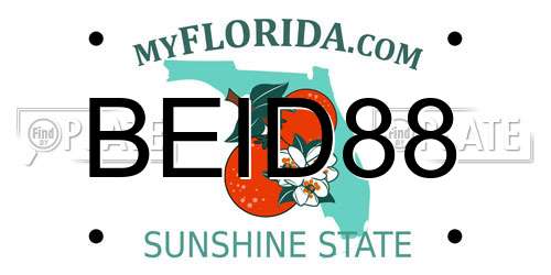 BEID88 Florida License Plate