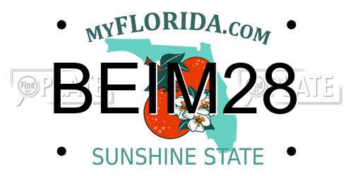 BEIM28 Florida License Plate