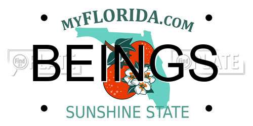 BEINGS Florida License Plate