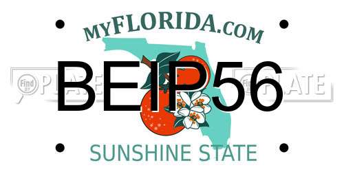 BEIP56 Florida License Plate