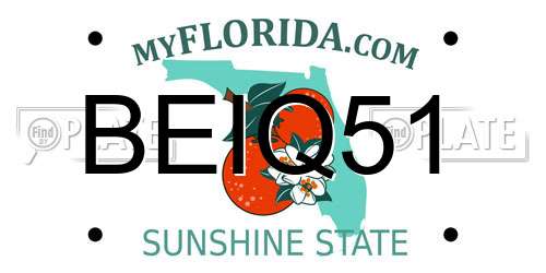 BEIQ51 Florida License Plate