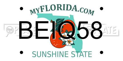 BEIQ58 Florida License Plate