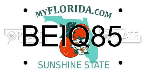 BEIQ85 Florida License Plate