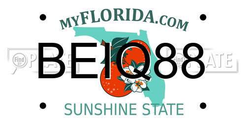 BEIQ88 Florida License Plate