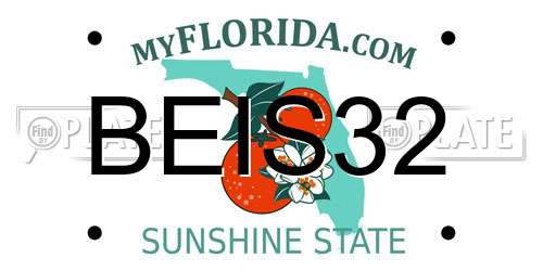 BEIS32 Florida License Plate