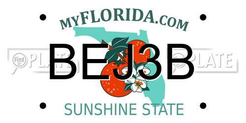 BEJ3B Florida License Plate