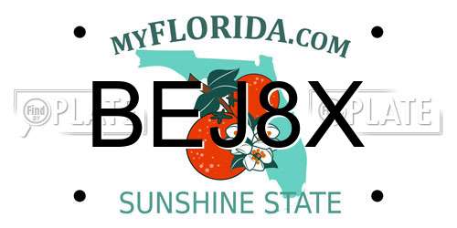 BEJ8X Florida License Plate