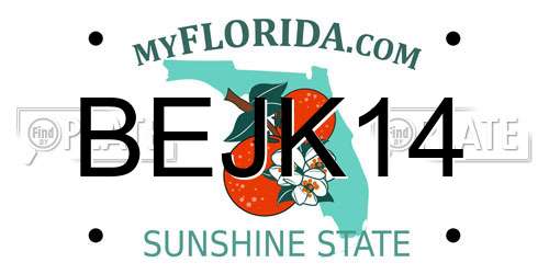 BEJK14 Florida License Plate