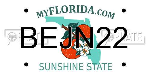 BEJN22 Florida License Plate