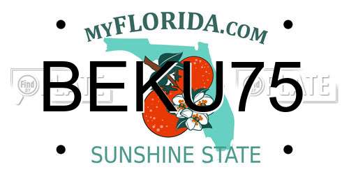 BEKU75 Florida License Plate