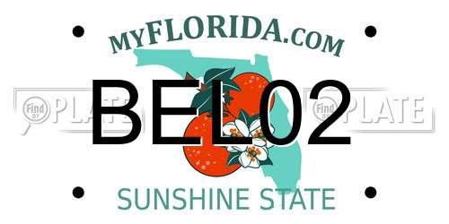 BEL02 Florida License Plate