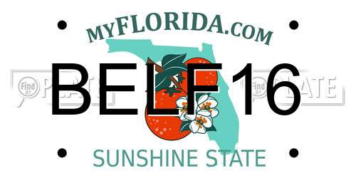 BELF16 Florida License Plate