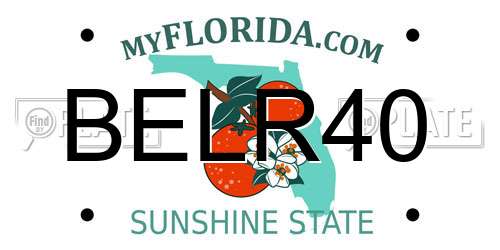 BELR40 Florida License Plate