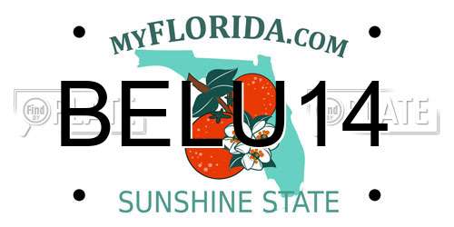 BELU14 Florida License Plate