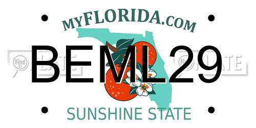 BEML29 Florida License Plate